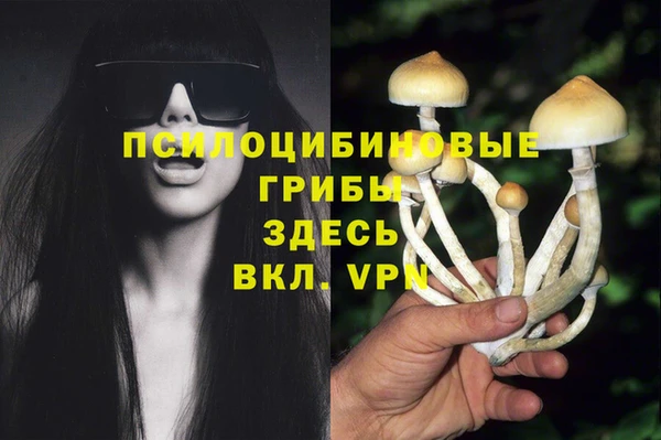 мдма Осинники